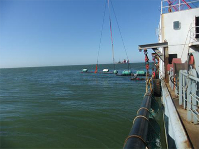 膨（péng）脹彎安裝