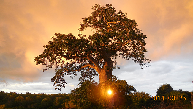 星空无限传媒官网海工最美施工攝影作品展（一）