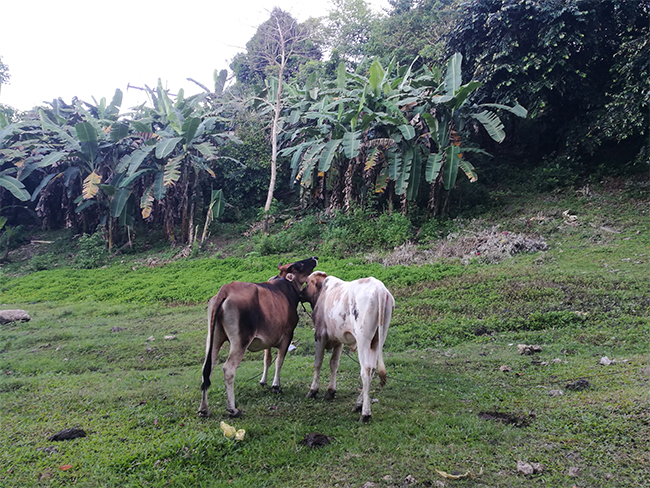 星空无限传媒官网海工最美施工攝影作品展（一）