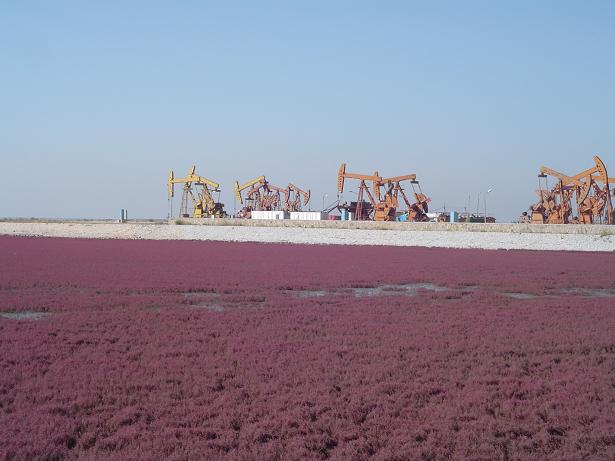 星空无限传媒官网海工（gōng）最美施（shī）工攝影作品展（zhǎn）（一）