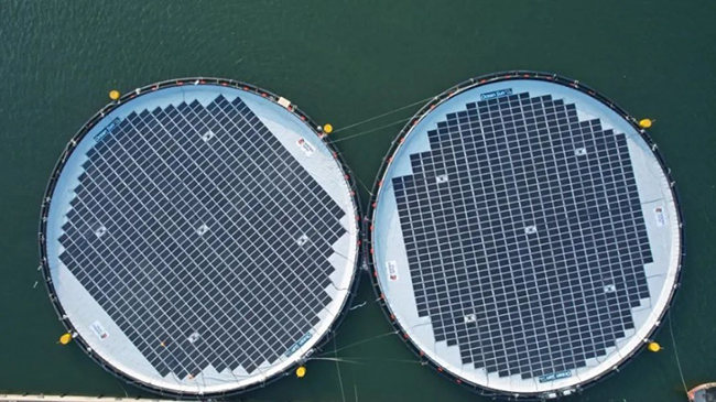 全球首個！國家電投山東分公司深遠海風光同場漂浮式光伏（fú）項目發出第一度（dù）電