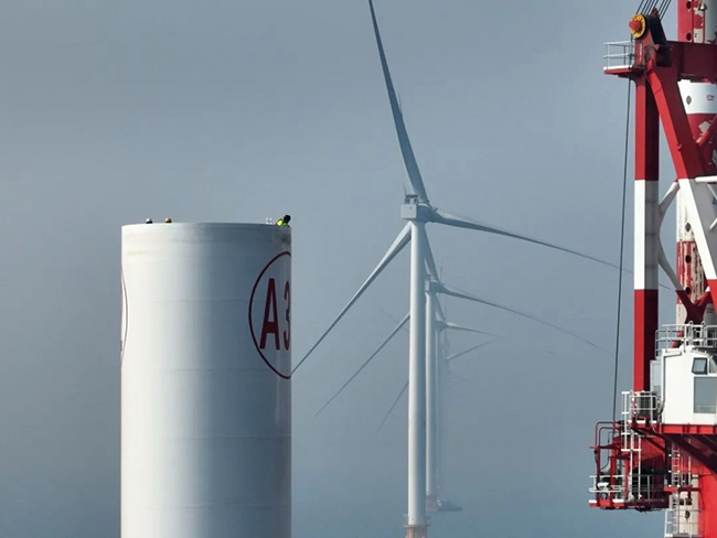 全國首個海上風電與海洋牧場融合發展（zhǎn）研究試驗項目首批機組並（bìng）網發電