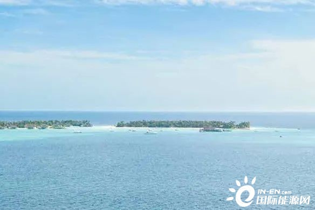 融合海洋牧場，海上（shàng）風電發展新途徑