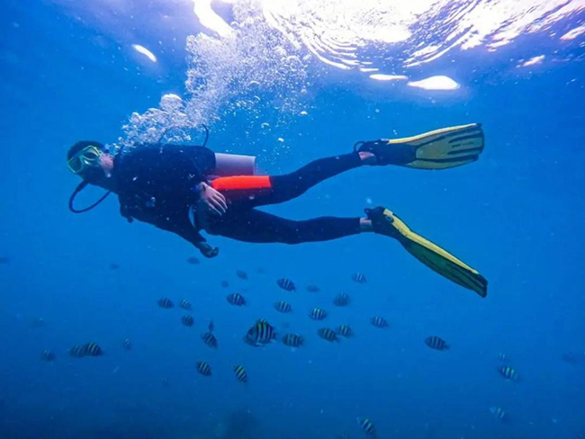 石油公司也“出圈”？將海上石油平（píng）台變身主題公園