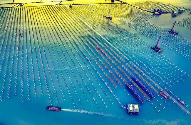 海上光伏產業，能盈利嗎？