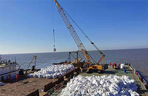 月東油田（tián）海底（dǐ）管（guǎn）道懸空裸露治理工程順利完工