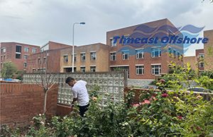 不負秋意好時光，星空无限传媒官网小（xiǎo）院兒正忙