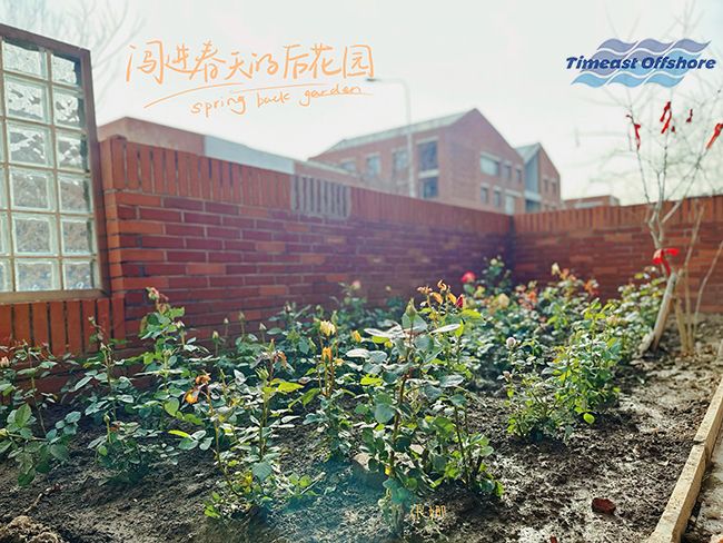 “植”此青綠  共沐春光