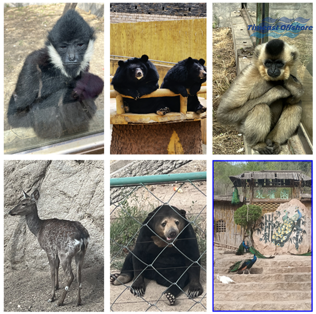 心（xīn）之所（suǒ）向，行之所往——赴（fù）一（yī）場春天的約會