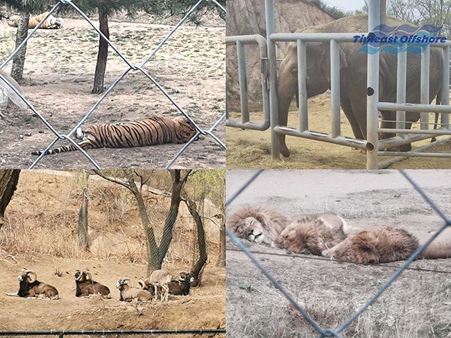 心之所向，行之所往——赴一場春天（tiān）的（de）約會