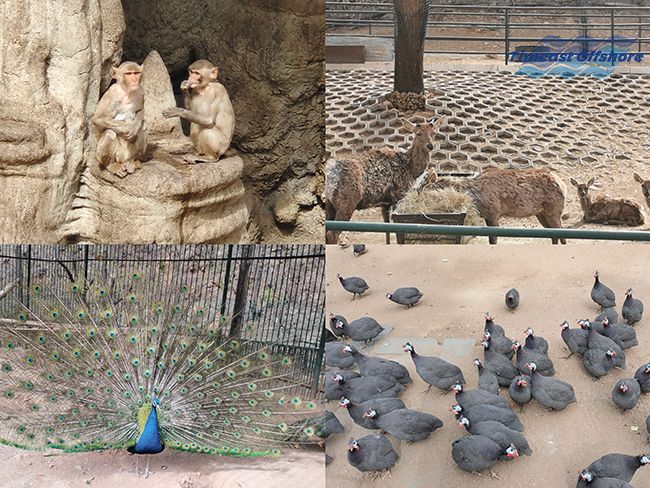 心之所向，行之所往——赴一場春天的約會