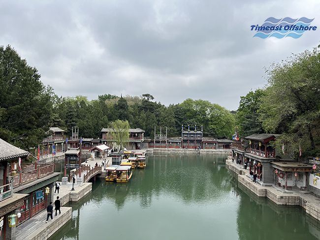 心之所向，行之所往——赴一（yī）場春天的約會